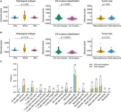 Screening and Identification of Key Microenvironment-Related Genes in Non-functioning Pituitary Adenoma